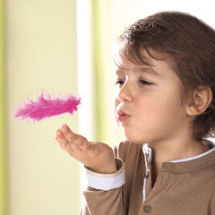 Haba Επιτραπέζιο Τα μαγικά φτερά