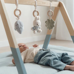 LITTLE DUTCH. Miffy Baby Gym - Lucky Leaves 