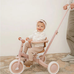 Little Dutch Fairy Floral Tricycle