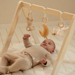 LITTLE DUTCH. Newborn Naturals Baby Gym 