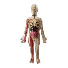 Auzou Ζωγραφική - Καλλιτεχνικά - Παζλ Auzou The Human Body Εκπαιδευτικό Παιχνίδι Γνώσεων για 6+ Ετών