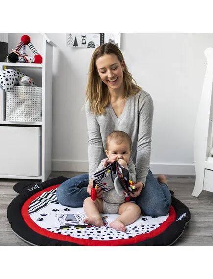 BabyOno Βρεφικά Παιχνίδια Δραστηριοτήτων BabyOno: Εκπαιδευτικό παιχνίδι Το πρώτο βιβλίο Dream team