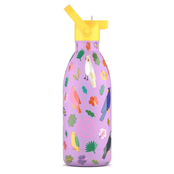 COOL BOTTLES Βρεφικά & Παιδικά Ποτηράκια COOL BOTTLES. Ανοξείδωτο παιδικό μπουκάλι Fly Free 500ml