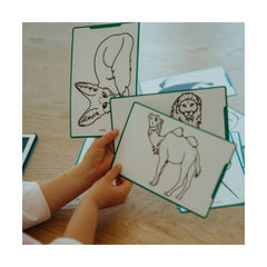 KIDYWOLF Ζωγραφική - Καλλιτεχνικά - Παζλ KIDYWOLF: 60 κάρτες για τα Mini Tablet ζωγραφικής με θέμα "Animals Around the World" & "Oceans and Pirates"