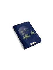 KIDYWOLF Ζωγραφική - Καλλιτεχνικά - Παζλ KIDYWOLF: Tablet ζωγραφικής με οθόνη LCD (30 κάρτες)- Galaxy