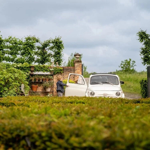 Koko Noko Μπουφάν Koko Noko Μπουφάν για αγόρια σκούρο μπλε αδιάβροχο με κουκούλα
