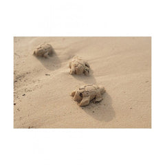 Little Dutch παιχνίδια θάλλασας Little Dutch Σετ παραλίας 3 τεμαχίων Sailors Bay