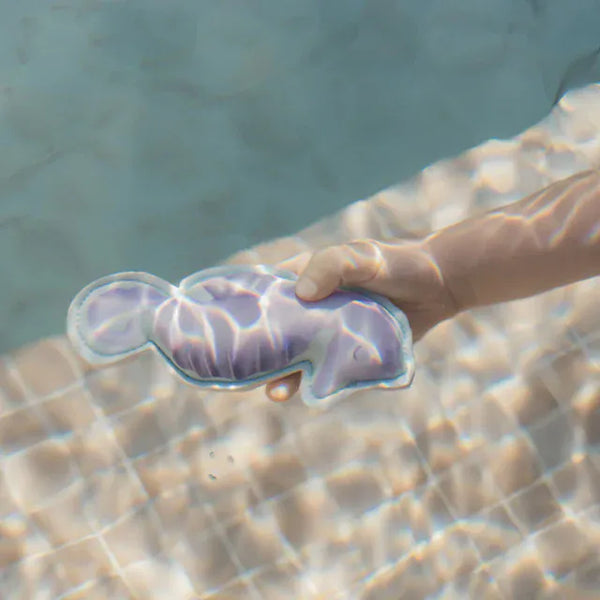Little Dutch Παιχνίδια θαλάσσης LITTLE DUTCH. Παιχνίδια μπάνιου Dreamy Mermaid