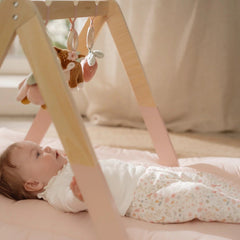 Little Dutch Βρεφικό γυμναστήριο δραστηριοτήτων LITTLE DUTCH. Βρεφικό γυμναστήριο Fairy Garden FSC