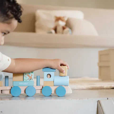 Little Dutch Βρεφικά Παιχνίδια Δραστηριοτήτων LITTLE DUTCH. Ξύλινο τρενάκι με άσκηση λεπτής κίνησης Forest Friends FSC