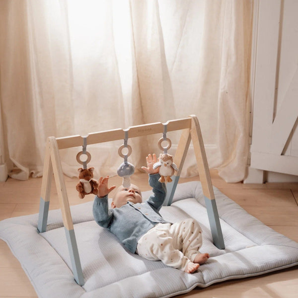 Little Dutch Βρεφικό γυμναστήριο δραστηριοτήτων LITTLE DUTCH. Βρεφικό γυμναστήριο Forest Friends FSC