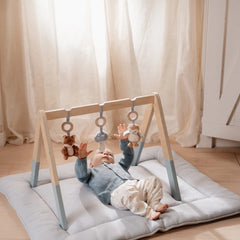 Little Dutch Βρεφικό γυμναστήριο δραστηριοτήτων LITTLE DUTCH. Βρεφικό γυμναστήριο Forest Friends FSC