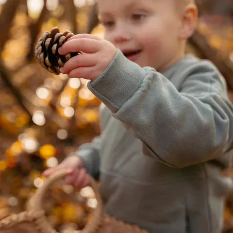 Little Dutch Μπλουζάκι LITTLE DUTCH. Φούτερ Forest Green