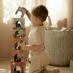 Little Dutch Παιχνίδια Δραστηριοτήτων LITTLE DUTCH. Πυραμίδα ταξινόμησης με αυτοκινητάκια FSC