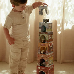 Little Dutch Παιχνίδια Δραστηριοτήτων LITTLE DUTCH. Πυραμίδα ταξινόμησης με αυτοκινητάκια FSC