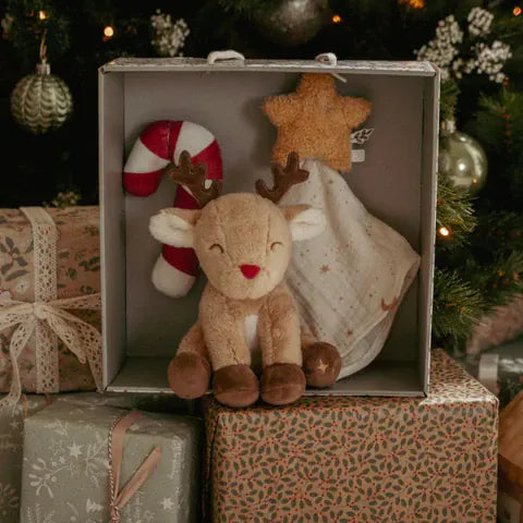 Little Dutch Δώρα για Μωρά LITTLE DUTCH. Χριστουγεννιάτικο σετ δώρου GRS