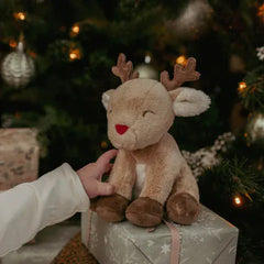 Little Dutch Δώρα για Μωρά LITTLE DUTCH. Χριστουγεννιάτικο σετ δώρου GRS