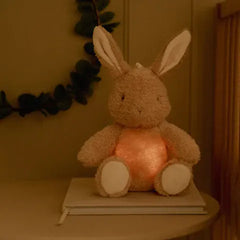 Little Dutch βρεφικά παιχνίδια LITTLE DUTCH. Υφασμάτινο κουνελάκι με φωτισμό, λευκούς ήχους & μουσική - επαναφορτιζόμενο