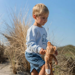 Little Dutch Μπλουζάκι LITTLE DUTCH. Φούτερ Light Blue