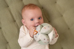 Little Dutch Βρεφικά Παιχνίδια Δραστηριοτήτων LITTLE DUTCH. Υφασμάτινη μπάλα με χειρολαβές Little Farm