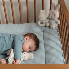 Little Dutch Δώρα για Μωρά LITTLE DUTCH. Σετ δώρου Miffy - Lucky Leaves GRS