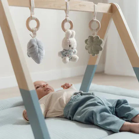 Little Dutch Βρεφικό γυμναστήριο δραστηριοτήτων LITTLE DUTCH. Βρεφικό γυμναστήριο Miffy - Lucky Leaves