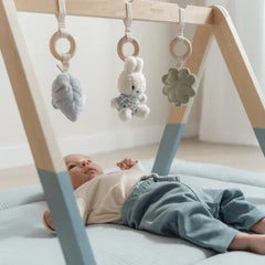 Little Dutch Βρεφικό γυμναστήριο δραστηριοτήτων LITTLE DUTCH. Βρεφικό γυμναστήριο Miffy - Lucky Leaves