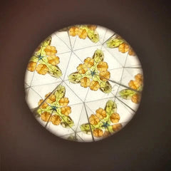 PICK A BOO παιχνιδι ρολων LITTLE DUTCH. Καλειδοσκόπιο Forest Friends FSC