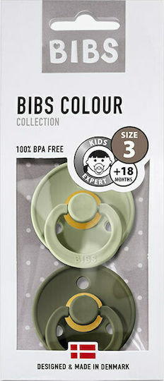 Bibs Rubber Pacifiers for 18+ months Colour Sage / Hunter 2pcs