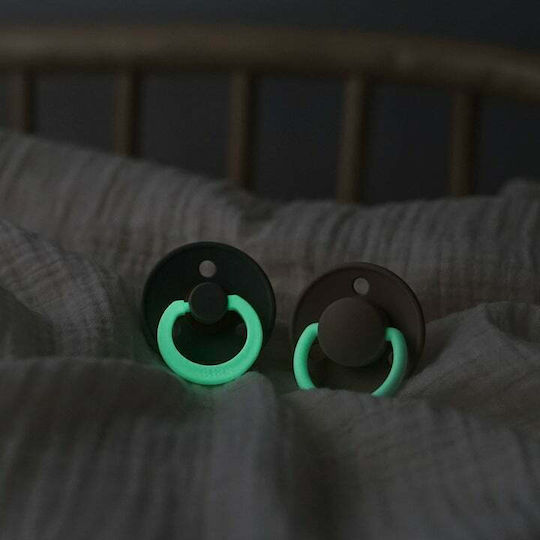 Bibs Rubber Pacifiers for 18+ months Colour Night Sage Glow &amp; Cloud Glow 2pcs 